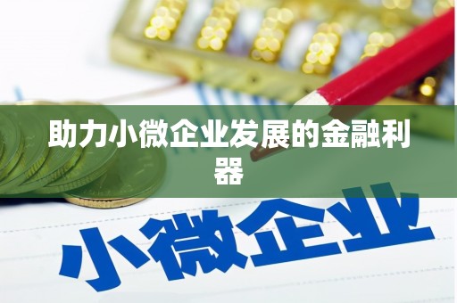 洪雅助力小微企业发展的金融利器
