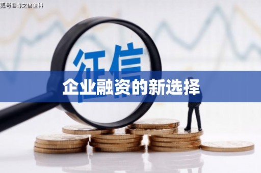 洪雅企业融资的新选择
