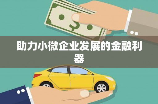洪雅助力小微企业发展的金融利器