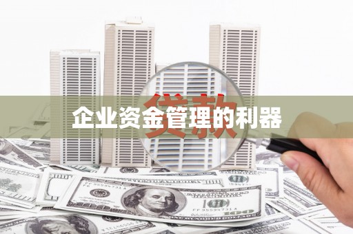 洪雅企业资金管理的利器