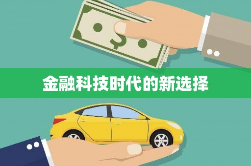 洪雅金融科技时代的新选择