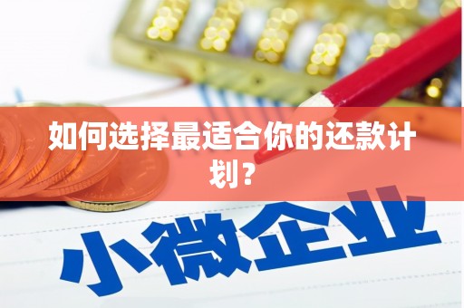 洪雅如何选择最适合你的还款计划？