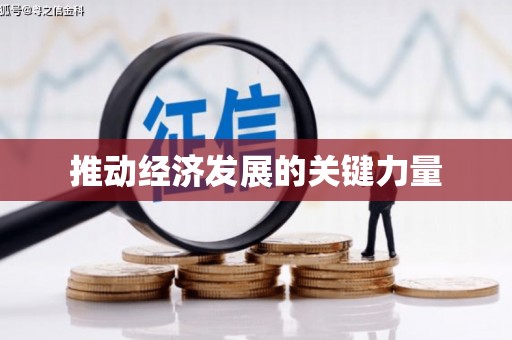 洪雅推动经济发展的关键力量