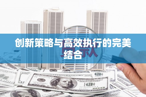 洪雅创新策略与高效执行的完美结合