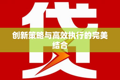 洪雅创新策略与高效执行的完美结合