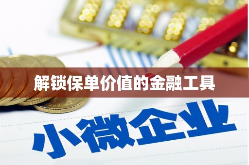 洪雅解锁保单价值的金融工具