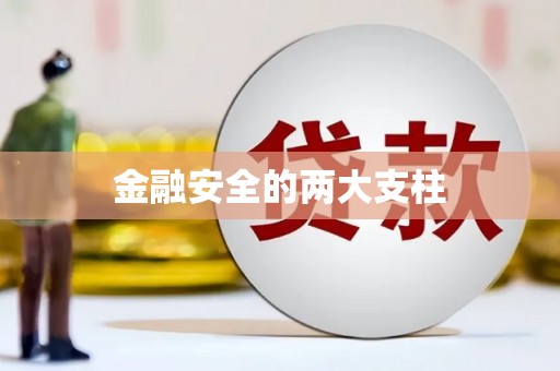 洪雅金融安全的两大支柱