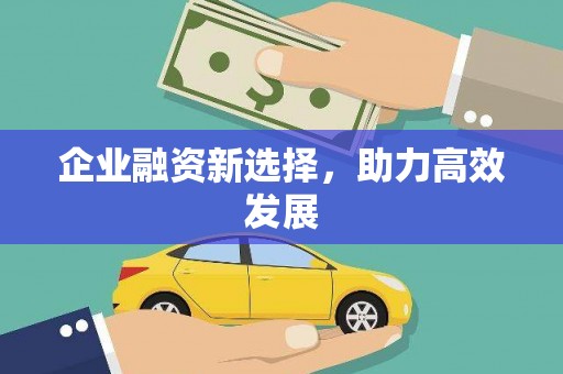 洪雅企业融资新选择，助力高效发展
