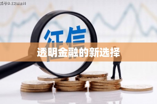 洪雅透明金融的新选择