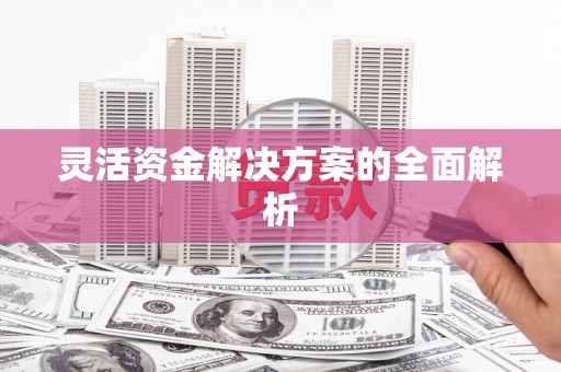 洪雅灵活资金解决方案的全面解析