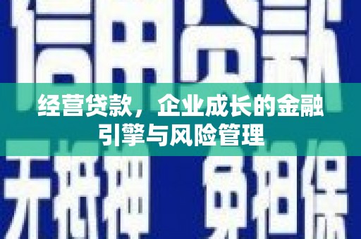 洪雅经营贷款，企业成长的金融引擎与风险管理