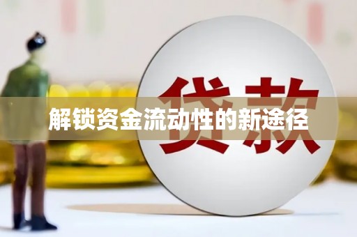 洪雅解锁资金流动性的新途径