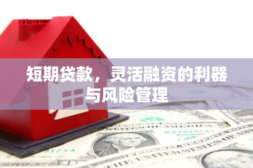 洪雅短期贷款，灵活融资的利器与风险管理