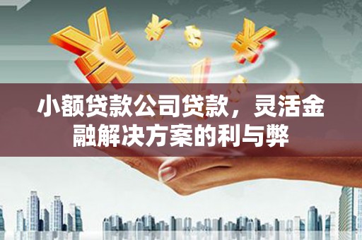 洪雅小额贷款公司贷款，灵活金融解决方案的利与弊