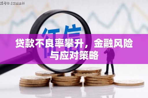 洪雅贷款不良率攀升，金融风险与应对策略
