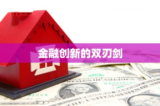 洪雅金融创新的双刃剑