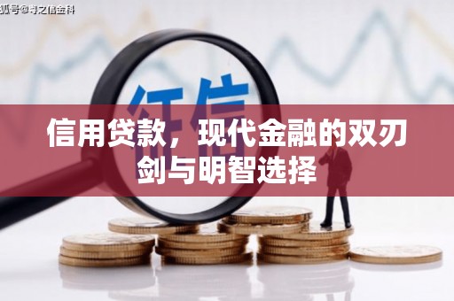 洪雅信用贷款，现代金融的双刃剑与明智选择
