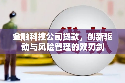洪雅金融科技公司贷款，创新驱动与风险管理的双刃剑