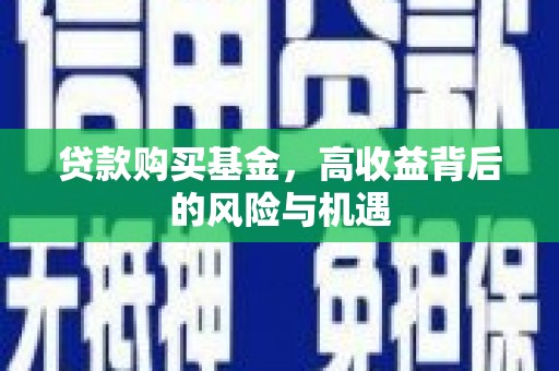 洪雅贷款购买基金，高收益背后的风险与机遇